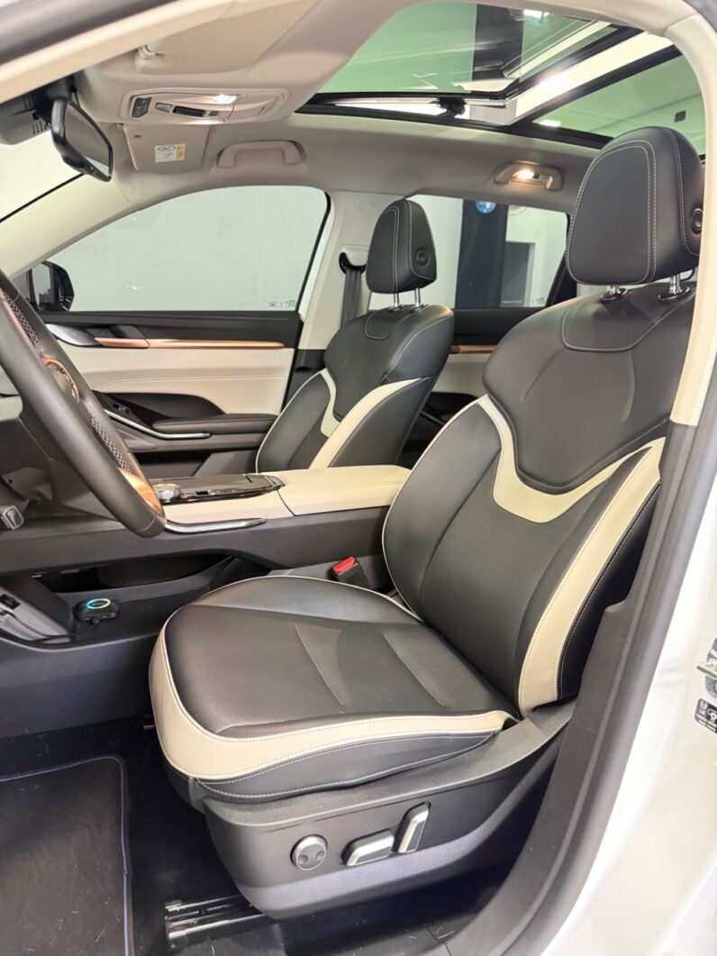 Haval H6 PHEV19 Hibrido